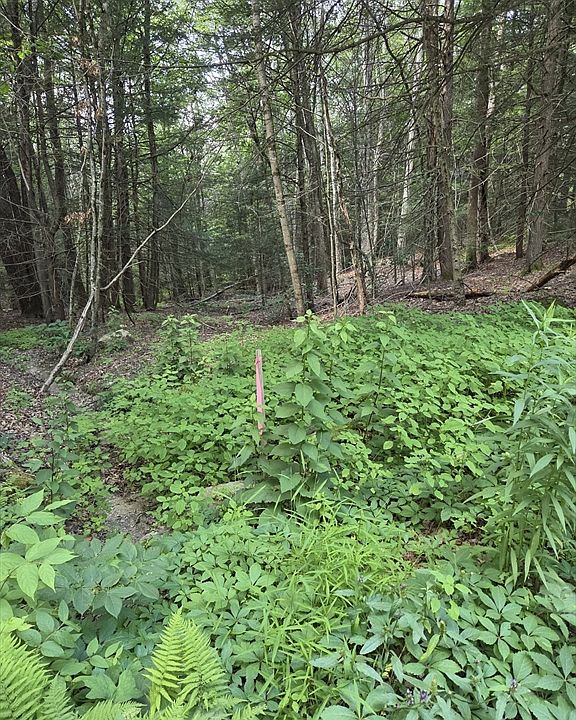 2nd image of LOT 2 Sampson Rd