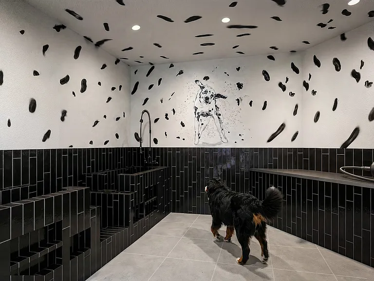 Metwest_Dogwash