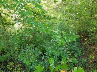 263 Long Ridge Rd, Brevard, NC 28712