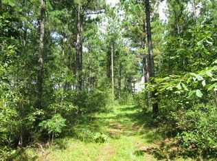 2238 Little Black Creek Rd, Lumberton, MS 39455