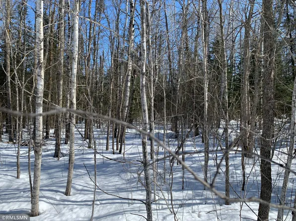 233rd Pl, McGregor, MN 55760