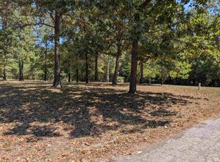 20 Guyon Dr, Cherokee Village, AR 72529