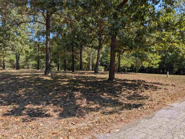 20 Guyon Dr, Cherokee Village, AR 72529