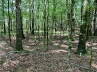 0 Bellewood Dr LOT B, Washington, GA 30673