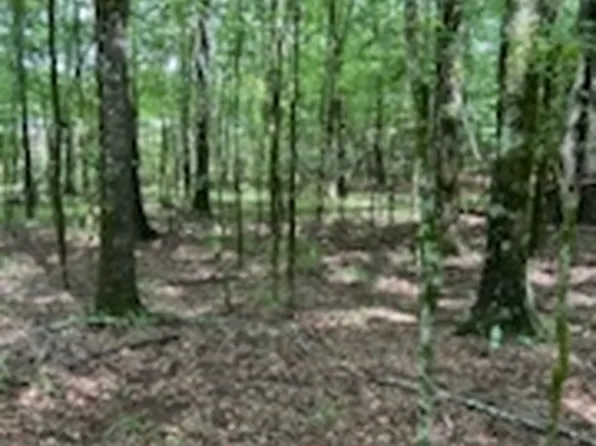 0 Bellewood Dr Lot B, Washington, GA 30673