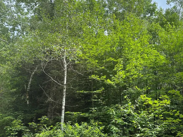 On Roosevelt Rd, Rhinelander, WI 54501