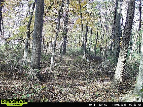 3rd image of 2255 N County Road 2420 E
