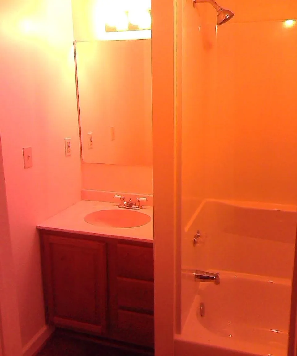 1 bed, $1,100 — Photo 3