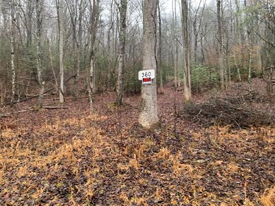 360 Old Whitener Rd, Murphy, NC, 28906
