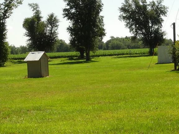 2nd image of Four Acres With Well And Septic 7507  Hwy 39