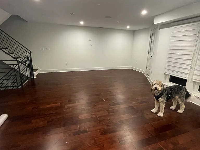 Main living area