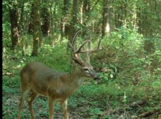 0 Clover St, Philipsburg, PA 16866