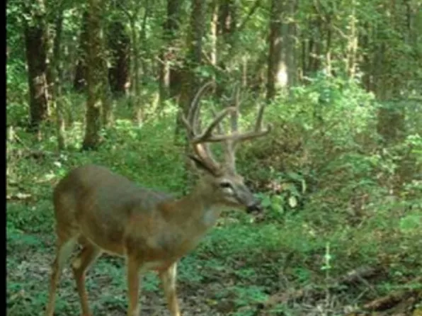 0 Clover St, Philipsburg, PA 16866