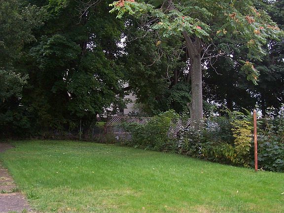 Large fenced yard