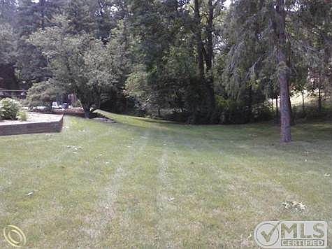 SIDE YARD.jpg