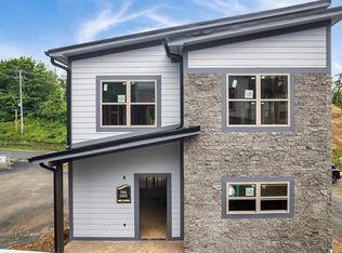 576 Dollywood Ln #2, Pigeon Forge, TN 37863