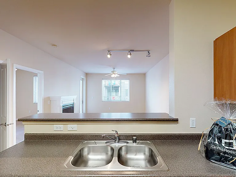 Apartment kitchen with wood-style flooring.