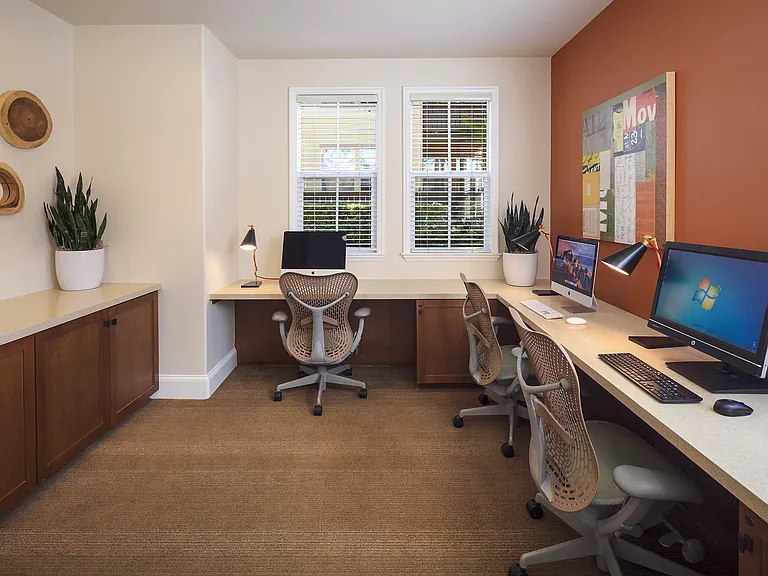 Solana Apartment Homes — Photo 12