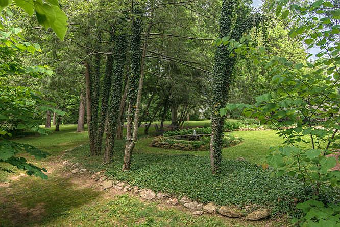 Peaceful back yard