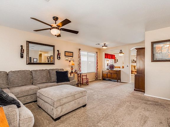 0013Morning Glory 12