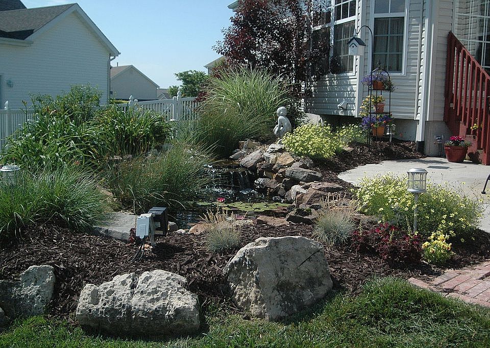 The pond area