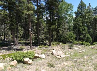 Lot 97, Angel Fire, NM 87710