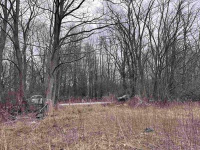 Bethuy Rd, Casco, MI, 48064