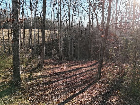 2nd image of 151 Sandy Springs Dr