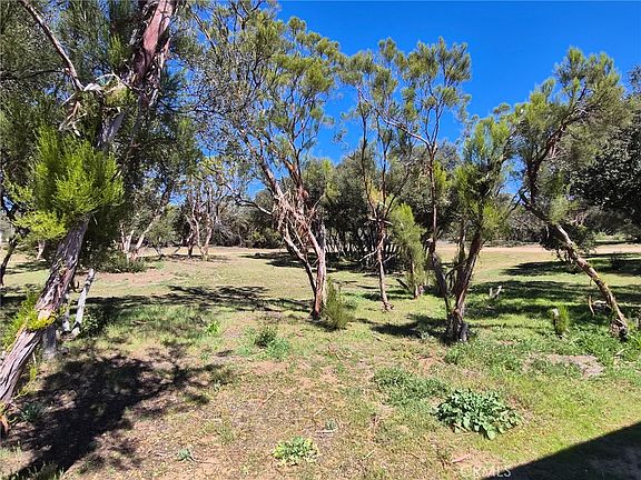 3rd image of 38295 Indian Rd