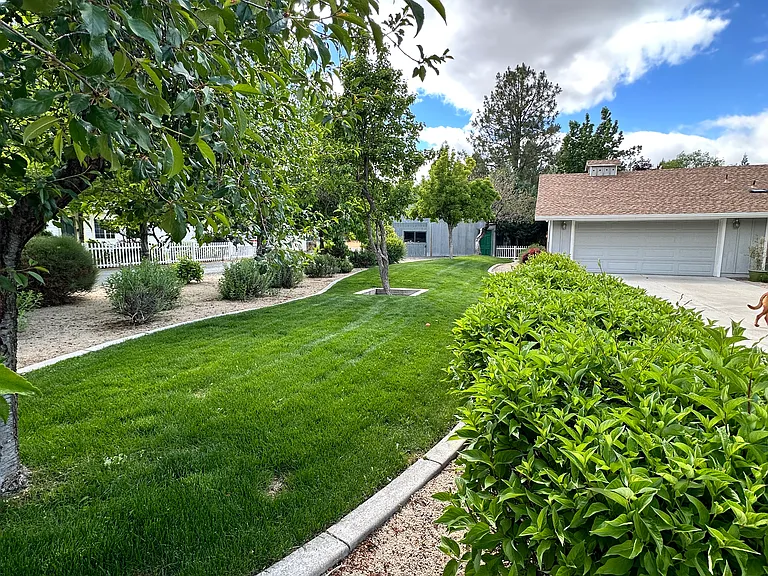 side yard ith fruit trees