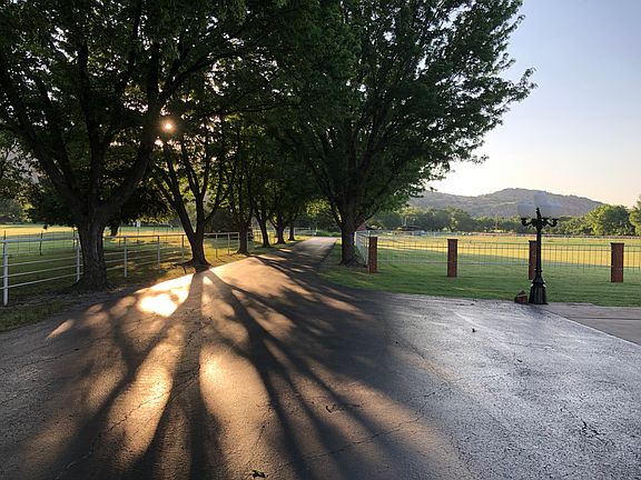 Maple tree lined driveway