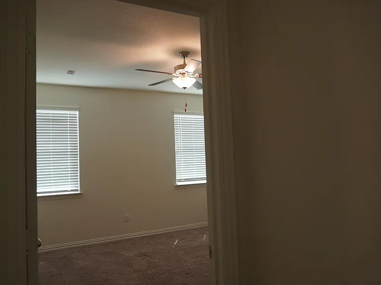 423 Pepperbark Ave — Photo 18