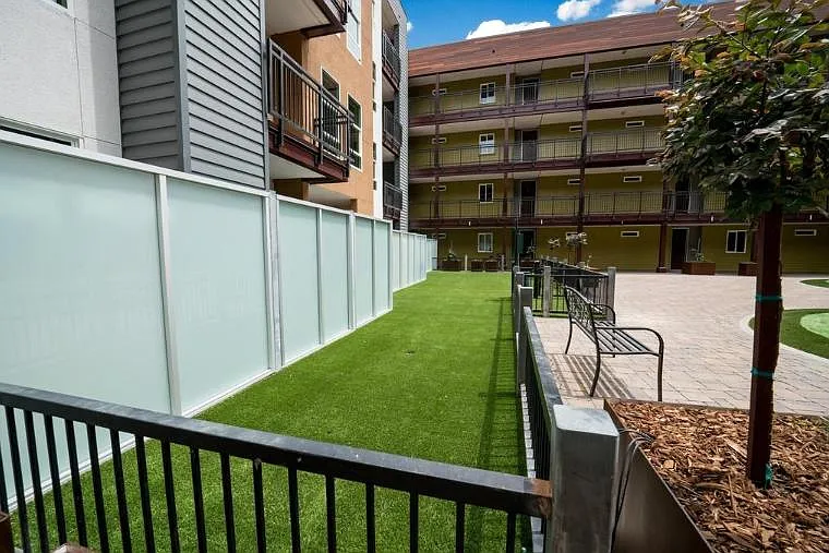 Pinefino Apartments — Photo 11