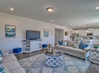 216 Chapin Place Way, Chapin, SC 29036