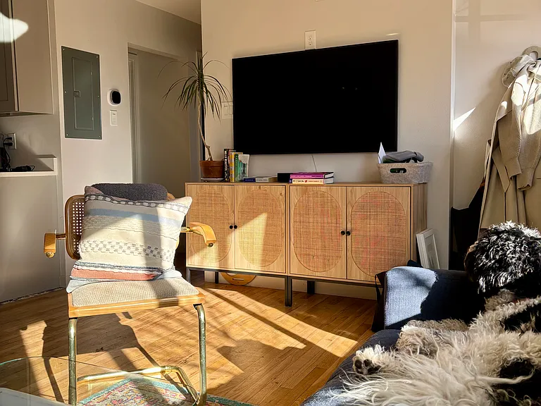 1087 N Wolff St — Photo 17