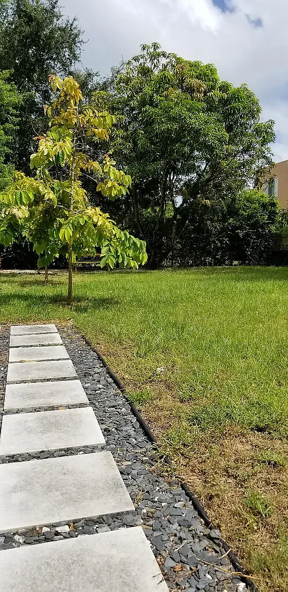 1 bed, 650 sqft, $1,550 — Photo 4