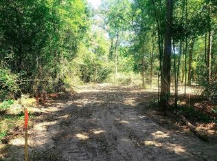 13536 Shady Ln, Plantersville, TX 77363