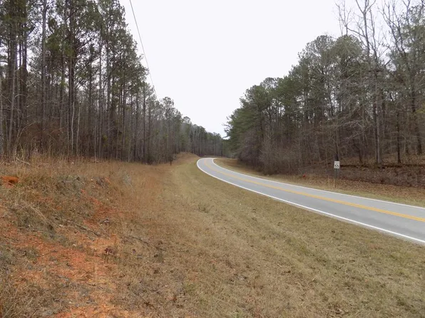 0B Lower Blue Springs Rd, Hamilton, GA 31811
