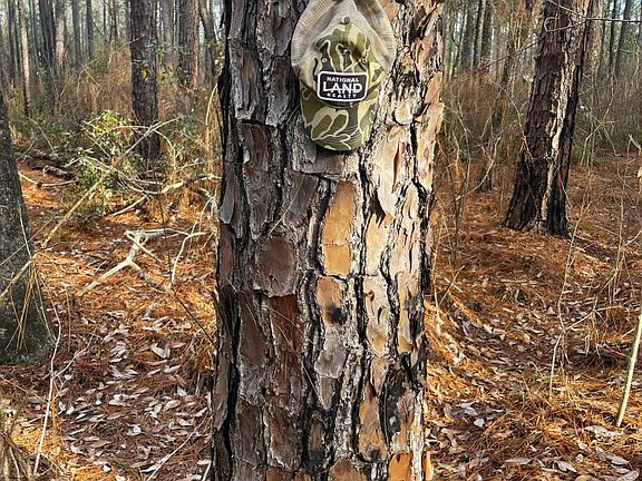 3rd image of 71 Acres 0 Jack Springs Road