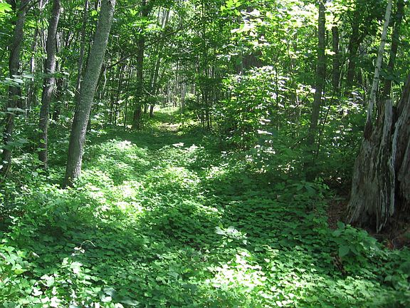 4th image of Tbd County 5 NW