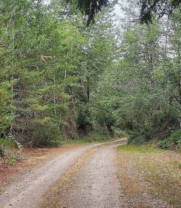 2nd image of 102 NE Smithy Forge Ln