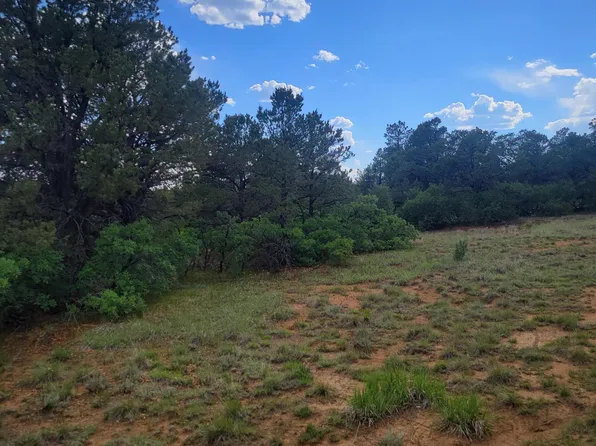 Unassigned Minehart Rd, Weston, CO 81091