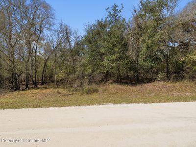 0 Smallman St, Webster, FL, 33597