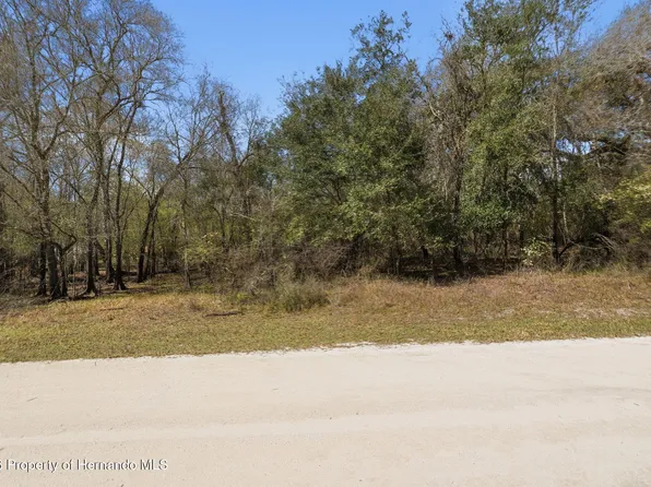 0 Smallman St, Webster, FL 33597