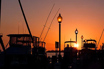 Marina in Dunedin.