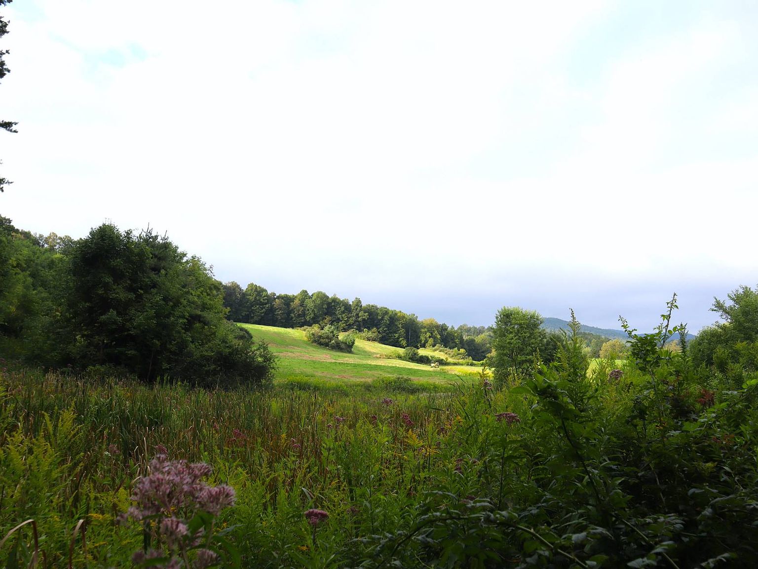 0 Gillis Rd, Greenwich, NY 12834 MLS 11199394 Zillow