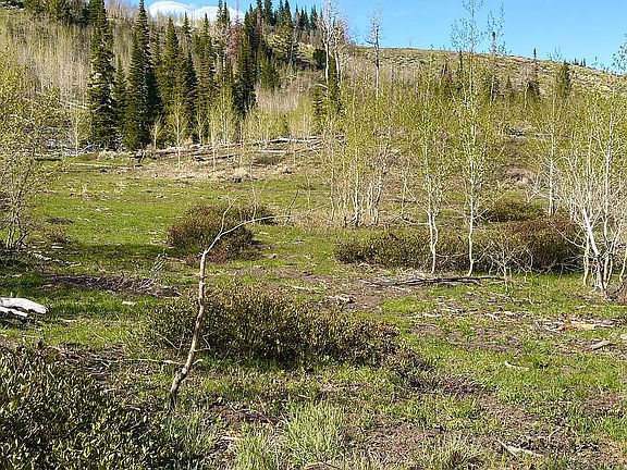 2nd image of 18 Long Way Spring Canyon Rnch