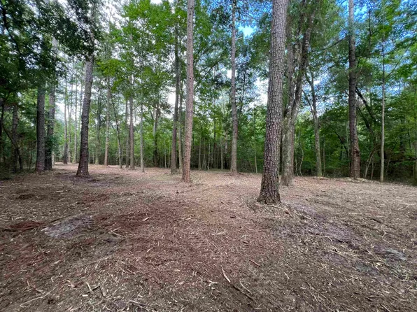 Xx Chaff Chason Ln, Quincy, FL 32352