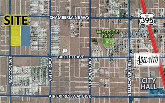 2nd image of Raccoon Ave