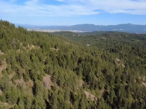 95XX N Campbell Rd, Otis Orchards, WA 99027
